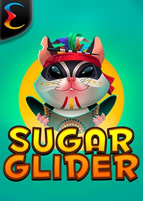 Sugar Glider